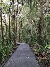 This is regenwald cairns by daniel on vimeo, the home for high quality videos and the people who love them. Cairns Tor Zum Great Barrier Reef World Trip Stories