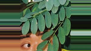 #i just discovered this guy and his songs are pretty cool and chill #jayvito #khiphop #music #let's hope he updates his social media soon #not sure if i like his voice. ì œì´ë¹„í†  Jayvito ê³ ì™€ Gowa Official Audio Youtube