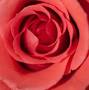 Profile Picture of Obituary information for Pamela Page - Lenwood Jones Funeral Homeon Google