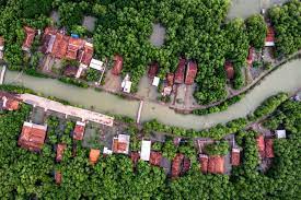 Namun, wilayah ini juga merupakan tempat dimana 75 persen dari penduduk. Hutan Bakau Yang Kedua Terbesar Di Dunia