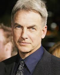 Daniela Ruah Excitedly Returns to NCIS