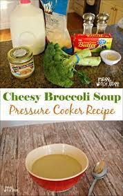Cheesy Broccoli Soup Pressure Cooker Recipe With Produce From Farm Fresh To You Pressure Cooker Recipes Pressure Cooking Recipes Pressure Cooker