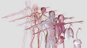 Mel maia vídeos porno EroMe is the best place to share your