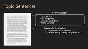 Check spelling or type a new query. Essay Writing Body Paragraphs 07 Topic Sentences Youtube