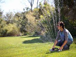 Watering your lawn to perfection is actually a fine art. Wise Watering Hgtv