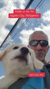 Dog Arguing with The Vet