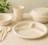 Top 15 Biodegradable & Compostable Tableware Manufacturers ...
