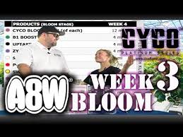 a8w cyco nutrients wk 3 bloom feed chart how to se1 ep6 official video