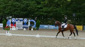The official andrea bocelli website. Premiere Fur Die Ichenheim Dressage Baden Online Nachrichten Der Ortenau Offenburger Tageblatt