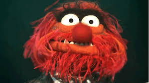 Check spelling or type a new query. The Muppets Are Terrifying And It S Time To Finally Talk About It