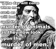 Amber Waid (amberlynn7801)