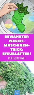 Bewahrter Waschmaschinentrick Efeublatter Waschen Waschmaschine Waschmitt Efeu Waschnusse Waschmittel