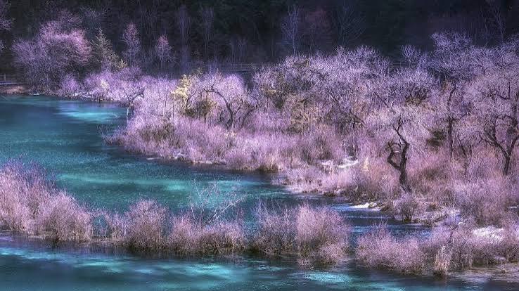 Jiuzhaigou: A fairyland in spring - CGTN