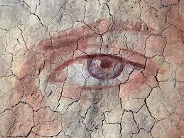 We did not find results for: Moist Contacts 7 Of The Best Contact Lenses For Dry Eyes Lenspure