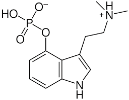 Psilocybin Wikipedia