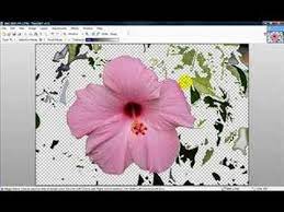 Pin By Melissa Barrow On My Photography Painting Photo Backgrounds Background Remover