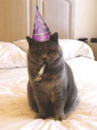 Explore and share the best funny birthday gifs and most popular animated gifs here on giphy. Most Popular Happy Birthday Gifs Get The Best Gif On Gifer