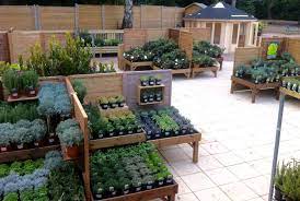 Plant Area Squires Garden Centre Chertsey Garden Center Displays Garden Center Garden Nursery