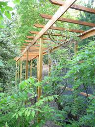 Portique Support Pour Notre Glycine Les Rosiers Et Clematites Terrasse Jardin Jardins Clematite