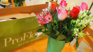 Does ftd flowers come in a box. Ftd Flowers Review Is Ftd Flower Delivery Any Good Reviewed