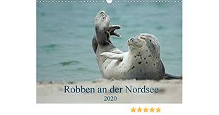 Mehr urlaubsangebote an der nordsee finden sie auf www.nordsee24.de. Robben An Der Nordsee Wandkalender 2020 Din A3 Quer Ein Kalender Fur Alle Robbenliebhaber Monatskalender 14 Seiten Calvendo Tiere Amazon De Fornal Martina Bucher