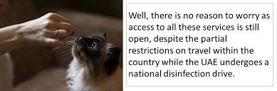Book your appointment online today. Coronavirus Are Vet Clinics Open In The Uae How Can I Get Pet Food Living Ask Us Gulf News
