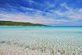 Top beaches, sandy beaches, beaches in idyllic bays, romantic beaches, family in the idyllic sakarun bay, 3 km southeast of veli rat, you will find an 800 meter long sandy beach sharing. Von Zadar Ganztagiger Ausflug Zum Offentlichen Saharun Beach 2021 Tiefpreisgarantie