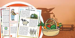 Our fabulous new magazine is filled with 200+ pages of beautiful, original photography and smart decorating, gardening, and entertaining tips. Harvest Festival 2021 Event Info And Resources