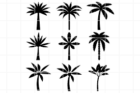 Download Palm Tree Svg For Icons Summer Svg Vacation Svg Tree Png 857779 Cut Files Design Bundles