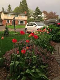 Month by month lawn care calendar. Spring Lawn Care Guide 12 Simple Tips Diy Lawn Expert