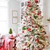 Start exploring these christmas red birds now and choose between a comprehensive category of products made exclusively for you to add more excitement to holiday celebrations. 1