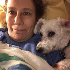 Does Prodigal Summer get better after 40%?