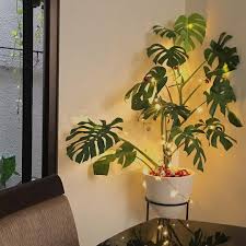 Bentar Lagi Natal Dan Di Rumah Udah Mulai Heboh Dengan Dekorasi Pagi Ini Iseng Taruh Semua Bola Natal Di Atas Potnya Si Monst Plant Leaves Plants Monstera