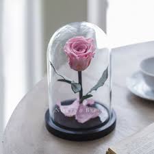 Ewige rose in glaskuppel wurde vom film inspiriert, einer wunderschönen wahren liebesgeschichte. Notta Belle Rose Im Glas Individuelle Gravur Festliche Boxen