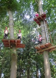 Discover everything you need to know about haus des waldes—a hiking attraction recommended by 35 people on komoot—and browse 48 photos & 10 insider tips. Ausflugstipp Hundisburg Kletterwoche Am Haus Des Waldes Magdeburger News Das Nachrichtenportal News Rund Um Magdeburg