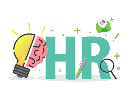 Human resource management (hrm or hr) is the strategic approach to the effective management of people in a company or organization such that they help their business gain a competitive advantage. Human Resource Or Hr Management Infographic Elements Download Free Vectors Clipart Graphics Vector Art