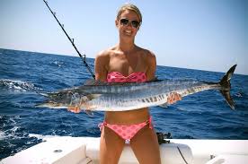 Petersburg and rated 4 of 5 at tripadvisor. Charter Fishing Key West Http Www Fishkeywest Com Key West Fishing Charters Key West Party Boat Fishing Cha St Pete Beach Pier Fishing St Pete Beach Florida