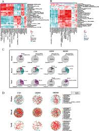 Ruminal-buccal microbiota transmission and their diagnostic roles in  subacute rumen acidosis in dairy goats