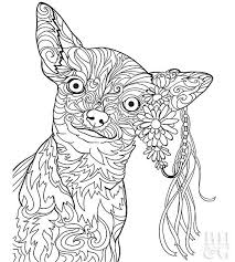 Chihuahua coloring page from dogs category. 32 Best Ideas For Coloring Free Printable Chihuahua Coloring Pages