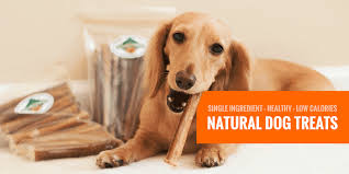 Beef, cheese and green bean treats. 10 Best Natural Dog Treats Single Ingredient Grain Free Low Calorie