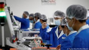 Coronavac works by teaching the immune system to make to create coronavac, the sinovac researchers started by obtaining samples of the coronavirus from. Indonesia Clerics Declare China Covid Vaccine Halal News Dw 08 01 2021
