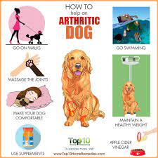 Aspirin is most widely used pain killer. Natural Remedies For Dog Arthritis Pain Sigue Al Novelista