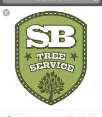 For more information about our services or for a free estimate please call: Dees Tree 10 Recommendations