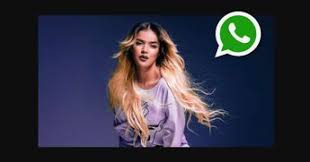 Entenda as mudanças nas aposentadorias e pensões em 2021. Numero De Whatsapp De Karol G Otro Numero De Celular Encontrado Es La Cantante Karol G Que Luego De Su Exito Tusa Famosos Numeros De Famosos Chicos Famosos
