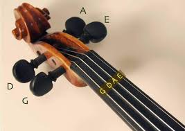 I am a professional violinist with 15 years of international experience performing in europe, latin america, and the united states. How To Tune A Violin In Detail Guide For Beginners Upd 2021