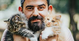 Data Reveals Pacific Northwest Is Where To Find The Single Cat Dads