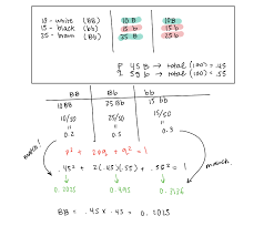 Then answer the specific question provided for each problem. Hardy Weinberg Equation