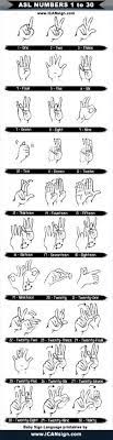 Learn the numbers from one to thirty in both receptive and. Sign Language Some Basics Sign Language Sign Language Chart Sign Language Alphabet