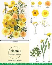 We did not find results for: Buy Ifancer Dried Pressed Flowers For Resin Small Real Pressed Flowers Natural Dry Leaves Bulk For Scrapbooking Resin Jewelry Card Candle Making Diy Art Crafts 105 Pcs 28 Colors Online In Indonesia B08nvnnv4q