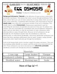 Osmosis egg lab report objective of the experiment. Egg Osmosis Lab By Dustin Hastings Teachers Pay Teachers
